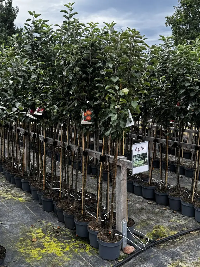 20250901_115430688_iOS